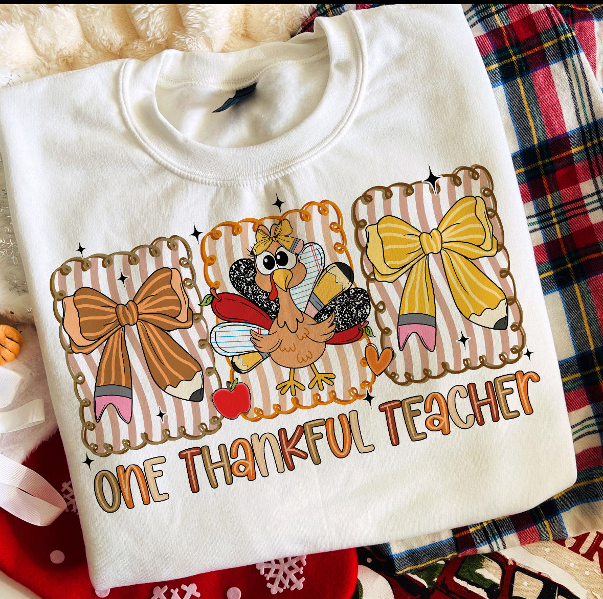 One thankful teacher t-shirt